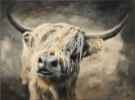 Gerda ein Hochlandrind (Monika Lehfeldt - Acrylmalerei)