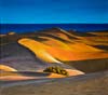 Dünen Maspalomas (Karl-Heinz Lehfeldt - Acrylmalerei)