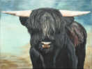 Nero ein Hochlandrind (Monika Lehfeldt - Acrylmalerei)