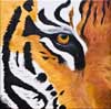 Tiger (Monika Lehfeldt - Acrylmalerei)