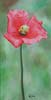 Mohn (Karl-Heinz Lehfeldt - Acrylmalerei)